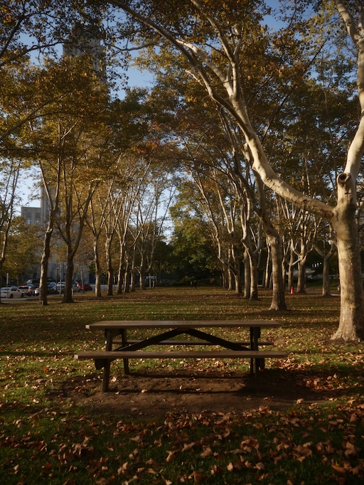 A picnic bench in front of two rows of autumn trees.